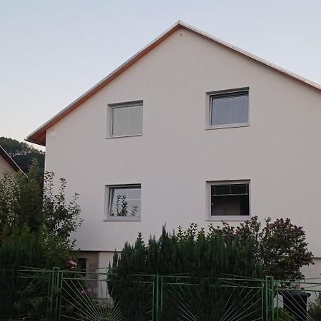 Zázrivá Apartmanovy Dum Terka מראה חיצוני תמונה